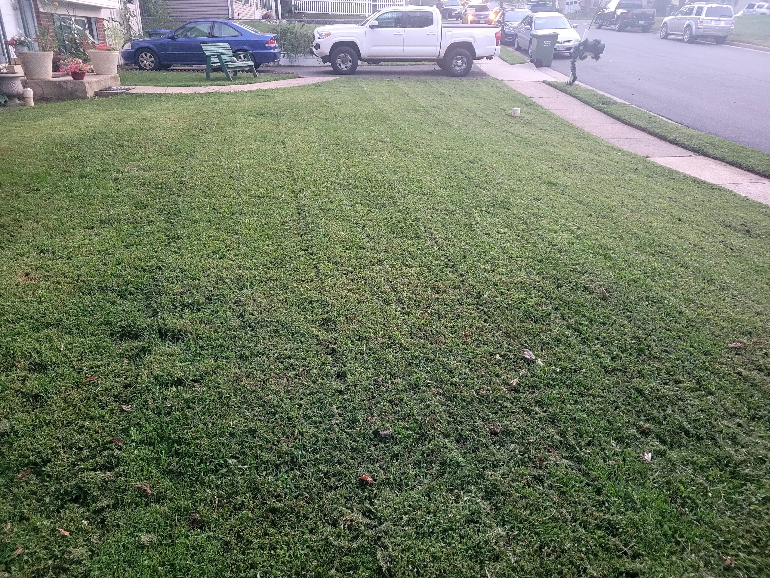 Lush green manicured lawn at golden hour